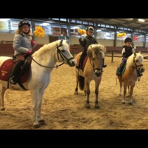 Manege Beukers image 1