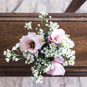 Uitvaartland image 4