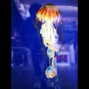 Amsterdam Art Center - KUNSTUITLEEN.NL image 3