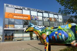 Expositie "Kunstenaar in Beeld" bij Cultuurhuis Wherelant