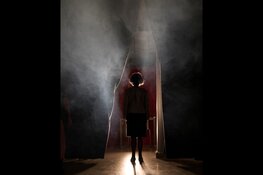 Proeflessen zang en theater voor senioren bij Cultuurhuis Wherelant