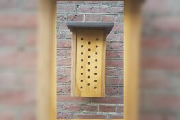 Bijenhotels voor scholen in Purmerend