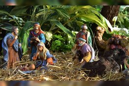Tentoonstelling 'Uitgestald' - 11 december 2019 t/m 12 januari 2020