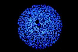 Holocaustmonument Levenslicht te zien in het Purmerends Museum