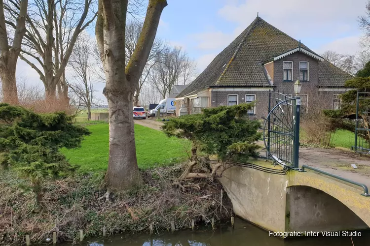 Hennepplantage in boerderij Westbeemster