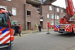 Twee gerbils overleden bij brand