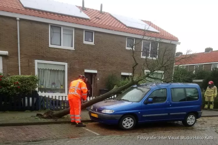 Boom valt op auto in Purmerend