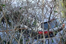 Auto te water bij parkeerplaats in Purmerend