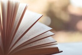 Bibliotheken na Hemelvaart gedeeltelijk open