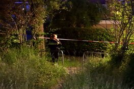 Politie zoekt getuigen van schietincident