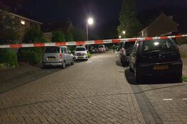 Politie zoekt getuigen van schietincident