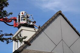 Baasje helpt brandweer met redden kat van dak in Purmerend