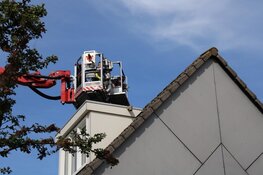 Baasje helpt brandweer met redden kat van dak in Purmerend