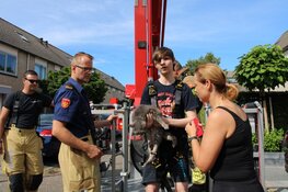 Baasje helpt brandweer met redden kat van dak in Purmerend
