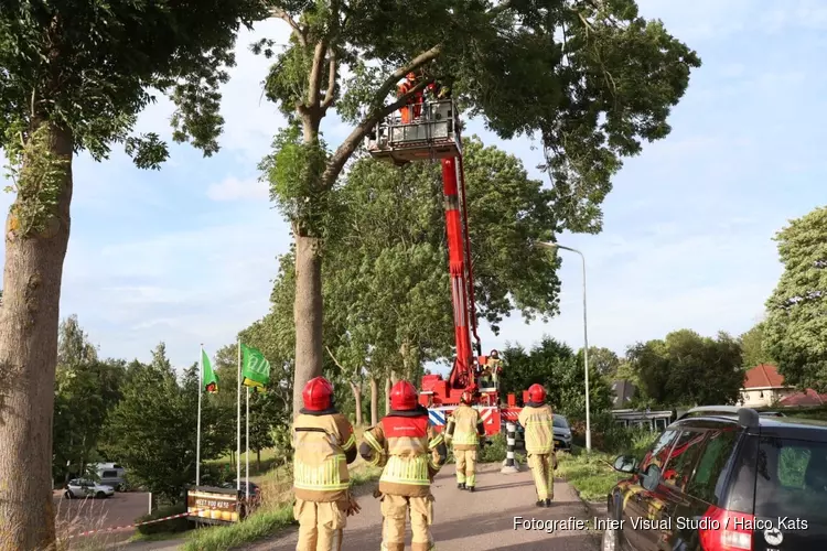 Vallende tak verspert weg in Zuidoostbeemster