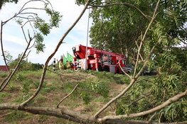 Vallende tak verspert weg in Zuidoostbeemster