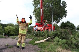 Vallende tak verspert weg in Zuidoostbeemster