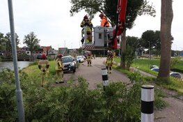Vallende tak verspert weg in Zuidoostbeemster