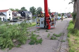 Vallende tak verspert weg in Zuidoostbeemster