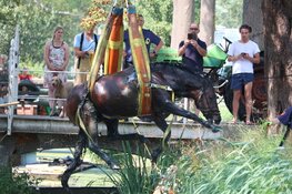 Brandweer uren bezig met paard te water