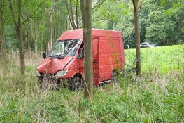 Bestelbus tegen boom