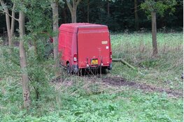 Bestelbus tegen boom