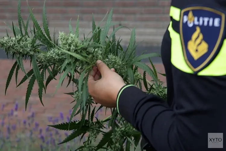 Vier aanhoudingen na vondst hennepkwekerij