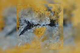 Purmerendse kunstenaars in etalage VVV | Purmerends  Museum krijgt een vervolg