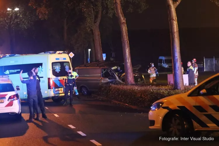 Bestuurder onder invloed ramt boom en eindigt in bosjes