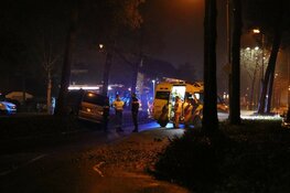 Bestuurder onder invloed ramt boom en eindigt in bosjes
