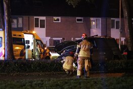 Bestuurder onder invloed ramt boom en eindigt in bosjes