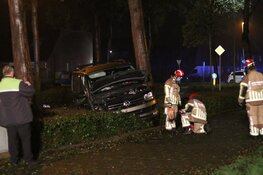 Bestuurder onder invloed ramt boom en eindigt in bosjes