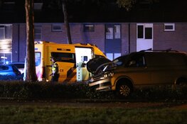 Bestuurder onder invloed ramt boom en eindigt in bosjes