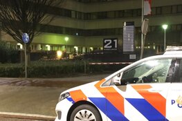 Bestuurder onder invloed ramt boom en eindigt in bosjes