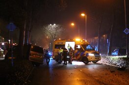 Bestuurder onder invloed ramt boom en eindigt in bosjes