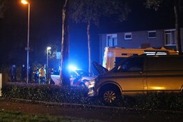 Bestuurder onder invloed ramt boom en eindigt in bosjes