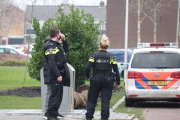 Agenten in kogelwerende vesten bij woning in Purmerend