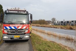 Hond en eigenaresse te water in Purmerend