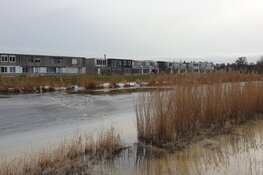 Hond en eigenaresse te water in Purmerend