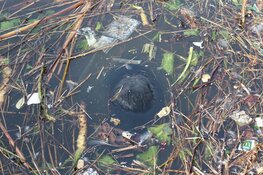 Twee jongens schrikken van vondst in sluis Purmerend