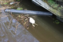 Twee jongens schrikken van vondst in sluis Purmerend