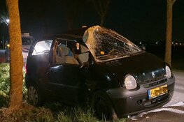 Automobilist tegen boom in Middenbeemster