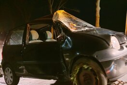 Automobilist tegen boom in Middenbeemster