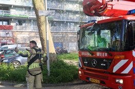 Keukenbrandje Purmerend snel onder controle
