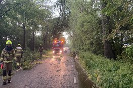 Fotoalbum: veel wateroverlast in grote delen van Noord-Holland