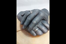 “Dit hadden we nog samen als gezin willen doen"