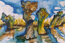 Tentoonstelling Ode aan het Noord-Hollandse landschap