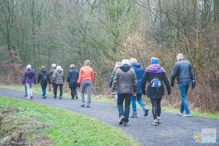 Wijken, parken en De Purmer leren kennen met Spurd-herfstwandelingen