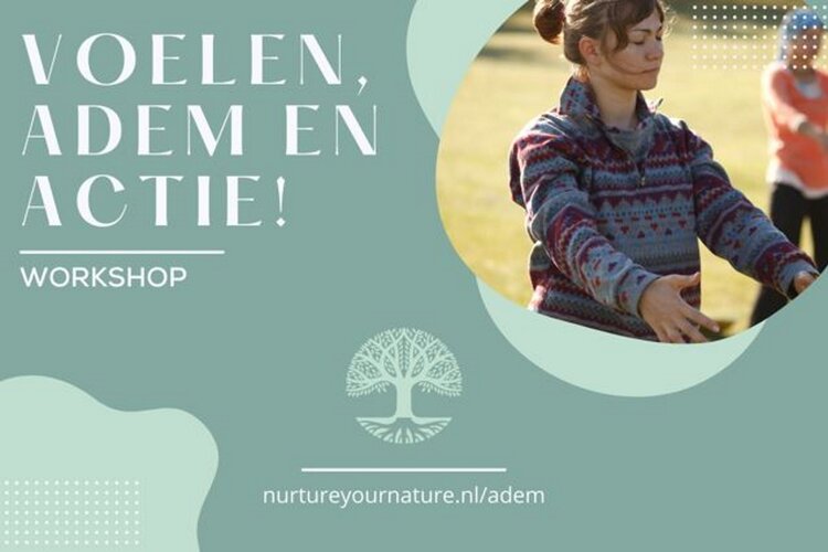 Workshop: voelen, adem en actie