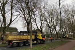 Boom blokkeert rijbaan Burgemeester Kooimanweg